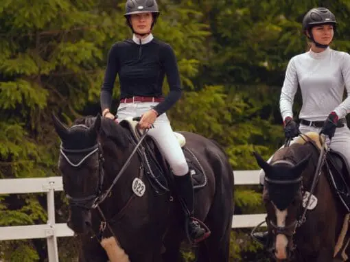 Equestrian