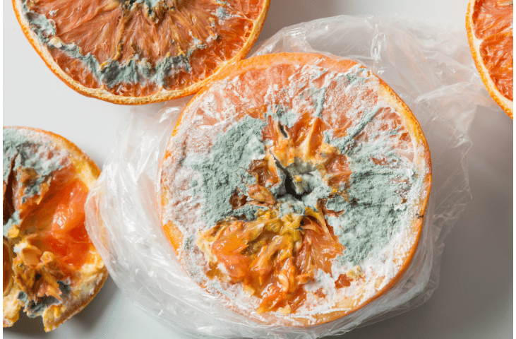 Image of some mouldy food.